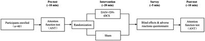 Network-based transcranial direct current stimulation enhances attention function in healthy young adults: a preliminary study